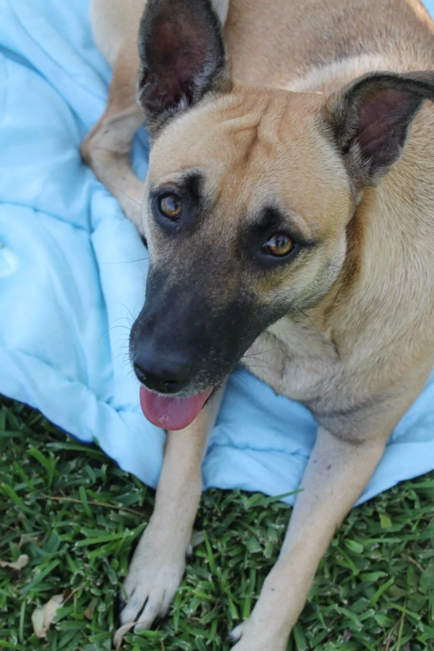 Julio, 2013 (San José Villanueva, El Salvador)