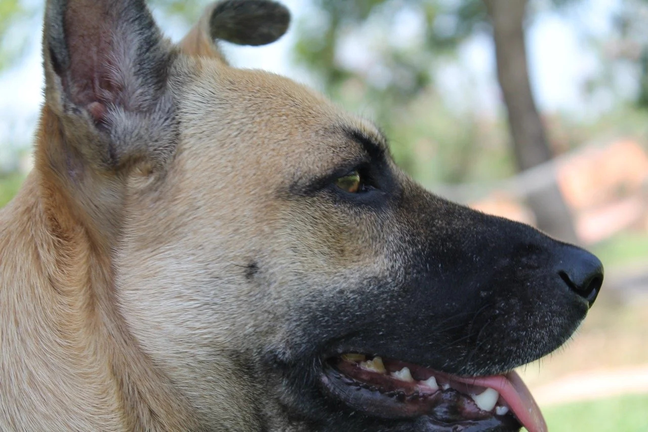 Julio, 2013
(San José Villanueva, El Salvador)