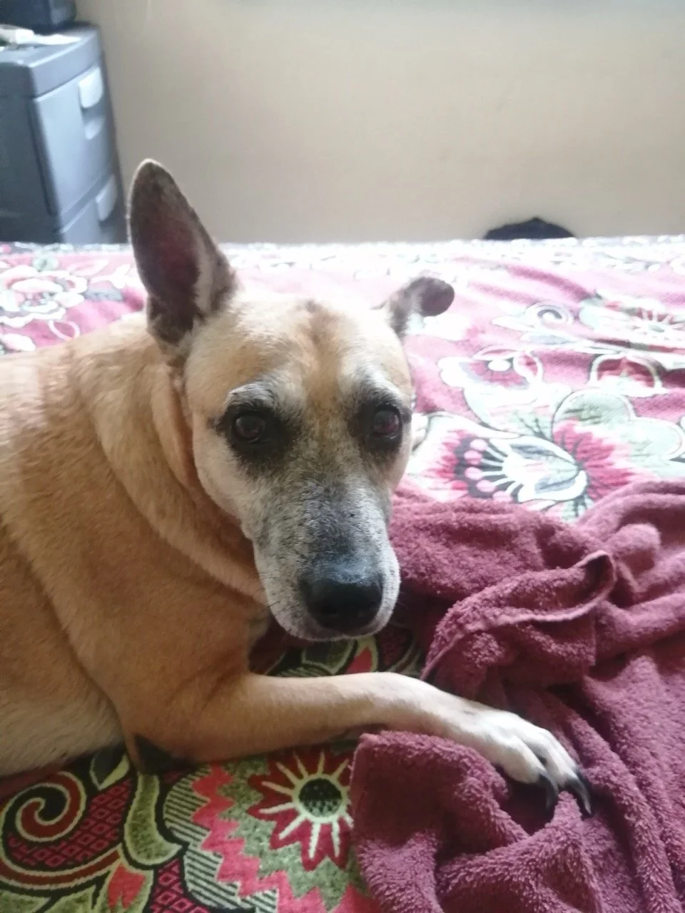 Julio, 2020 (San José Villanueva, El Salvador)