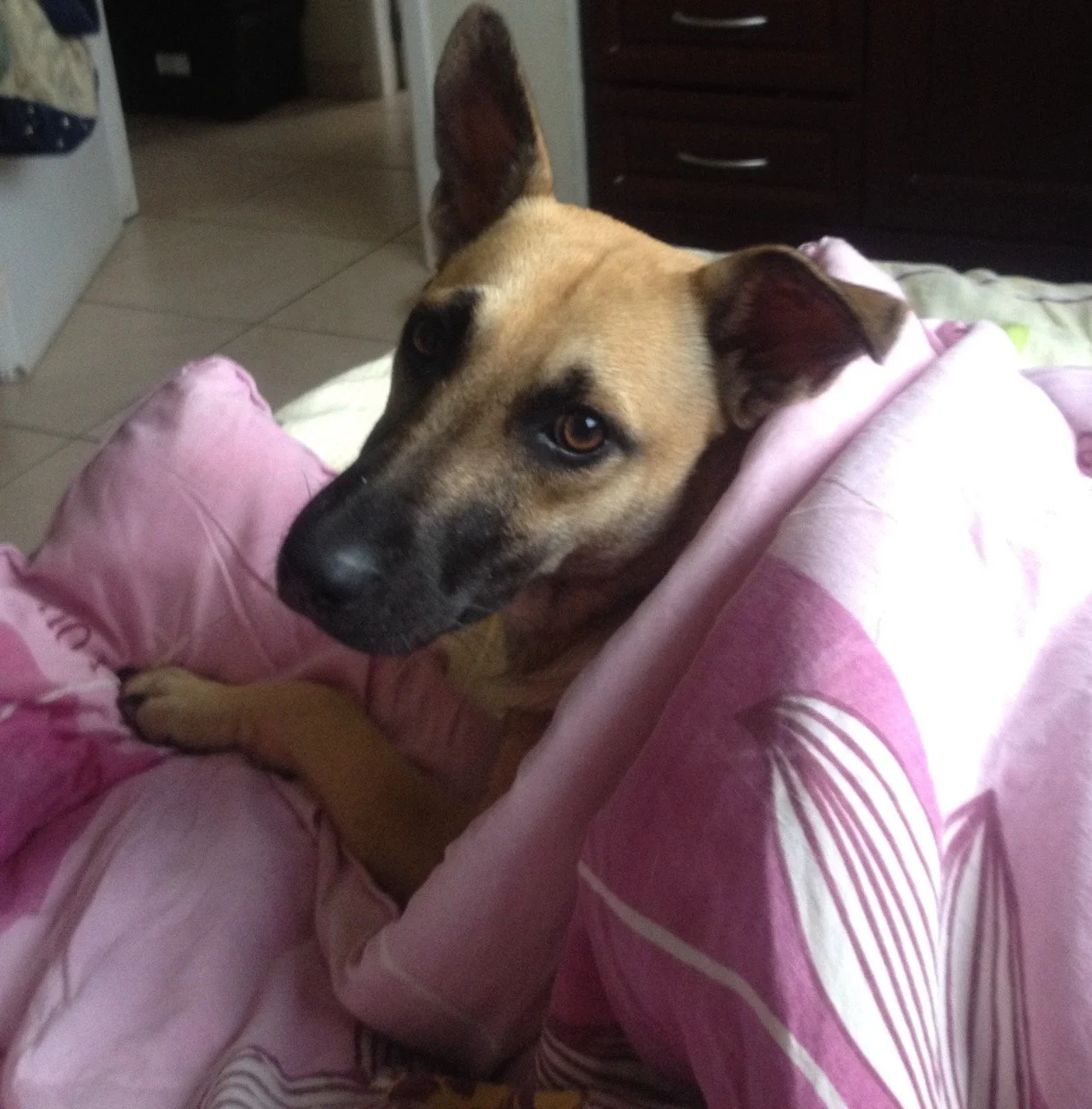 Abril, 2012
(San José Villanueva, El Salvador)