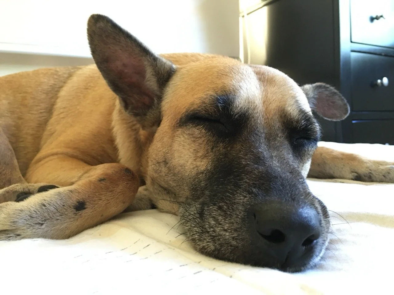 Diciembre, 2015 (San José Villanueva, El Salvador)