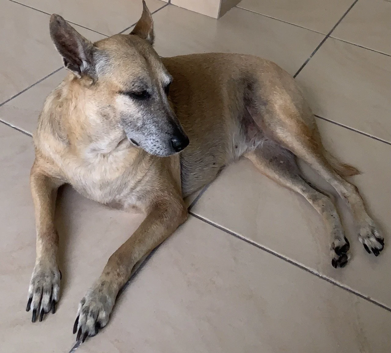 Marzo, 2021 (San José Villanueva, El Salvador)