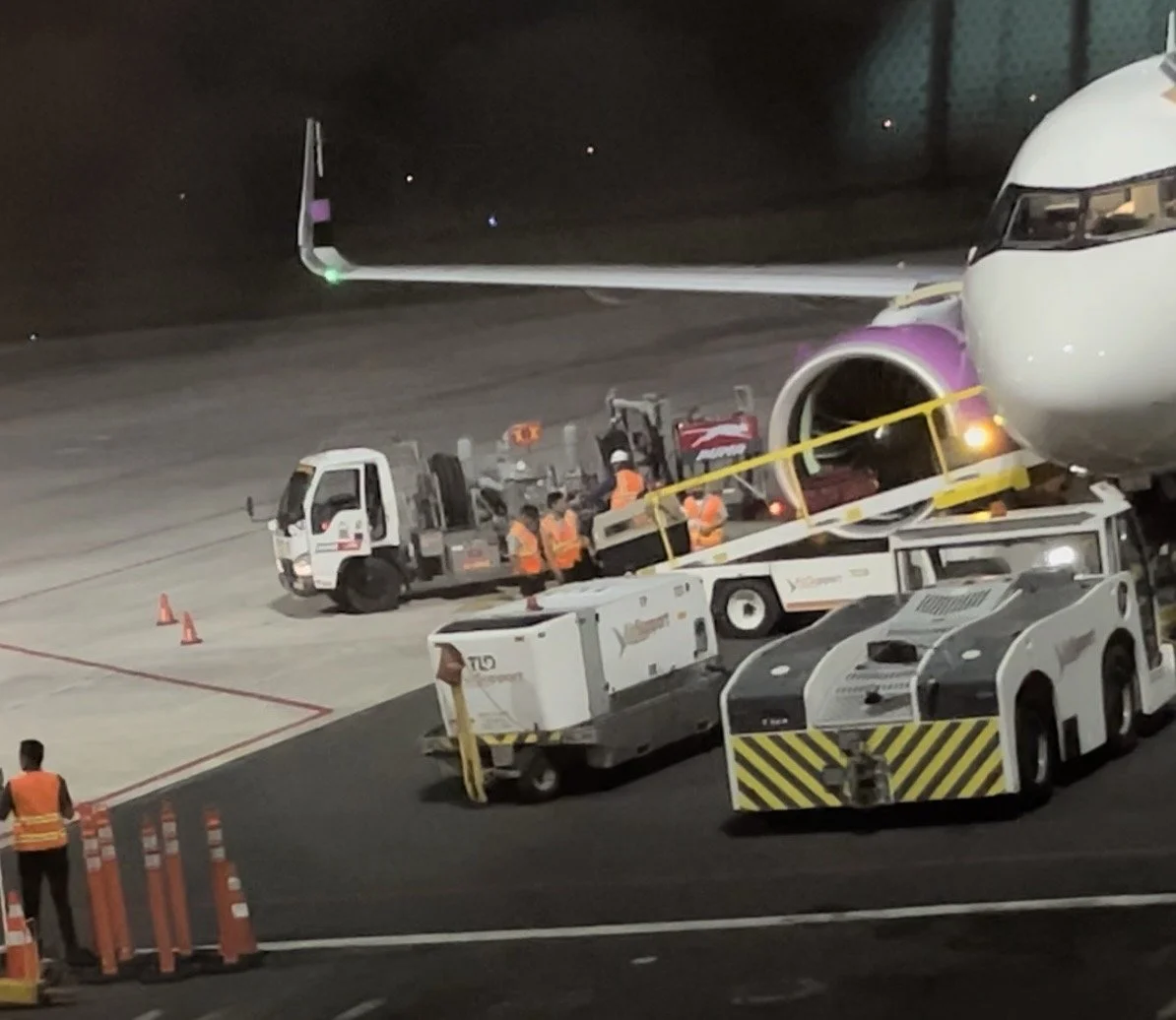 December, 2022 (Comalapa Airport, El Salvador) Karma's kennel on the conveyor belt. The crew were very gentle with Karma and appeared friendly and sympathetic to her.