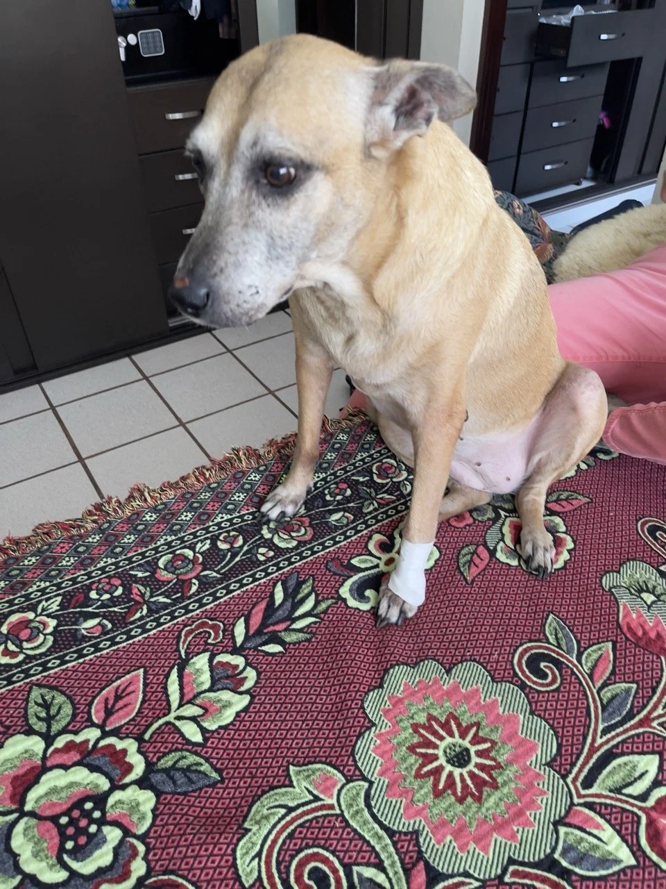 Abril, 2022 (Santa Tecla, El Salvador)