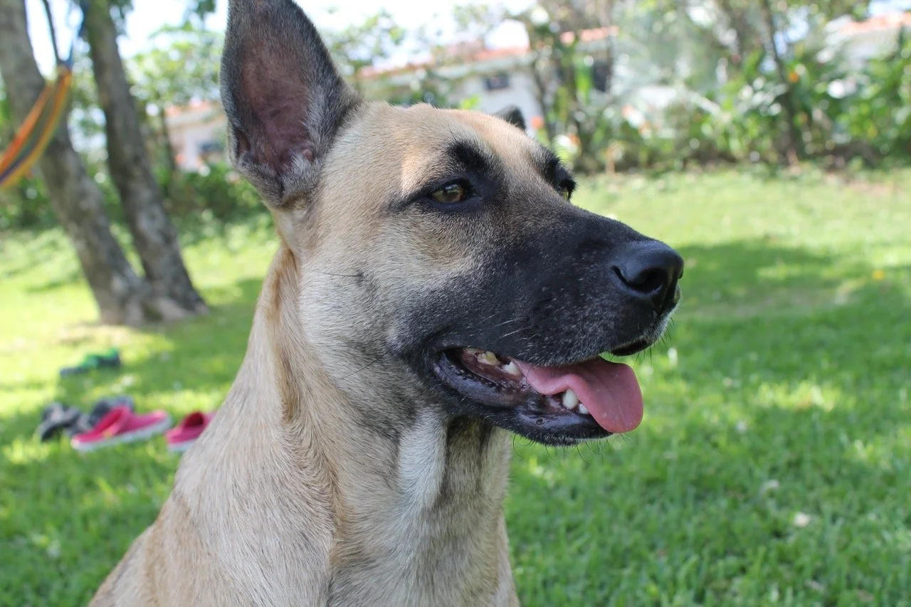 Julio, 2013
(San José Villanueva, El Salvador)