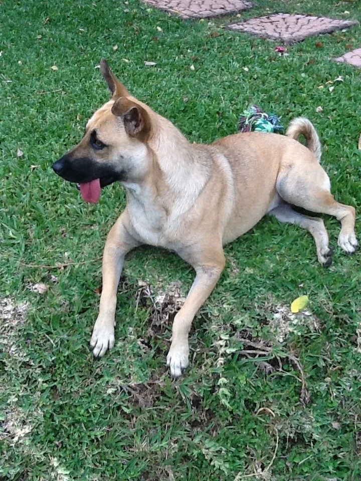 Julio, 2012
(San José Villanueva, El Salvador)