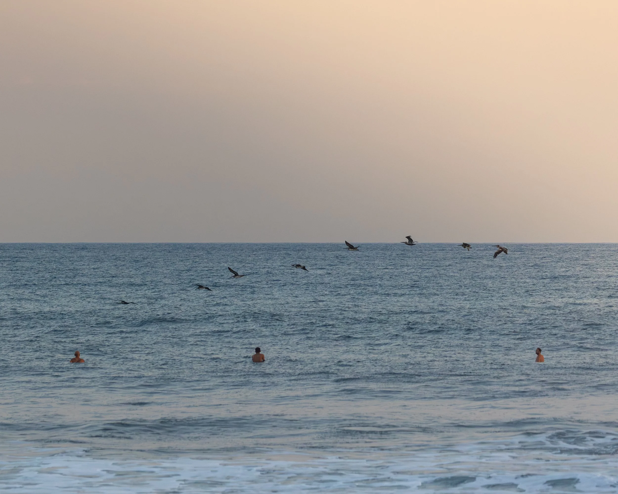 1X0A7462-Enhanced-NR.jpg