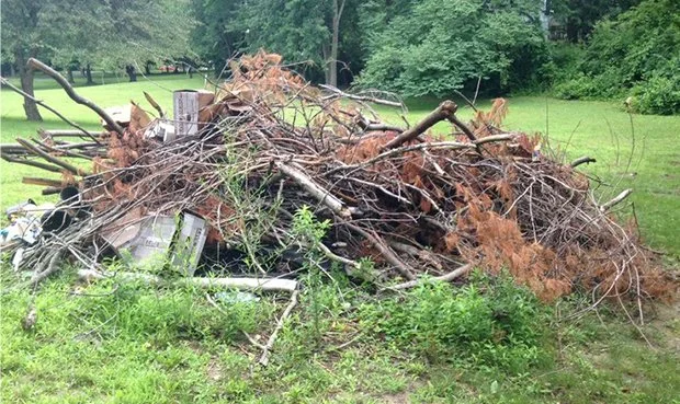 brush removal companies near me