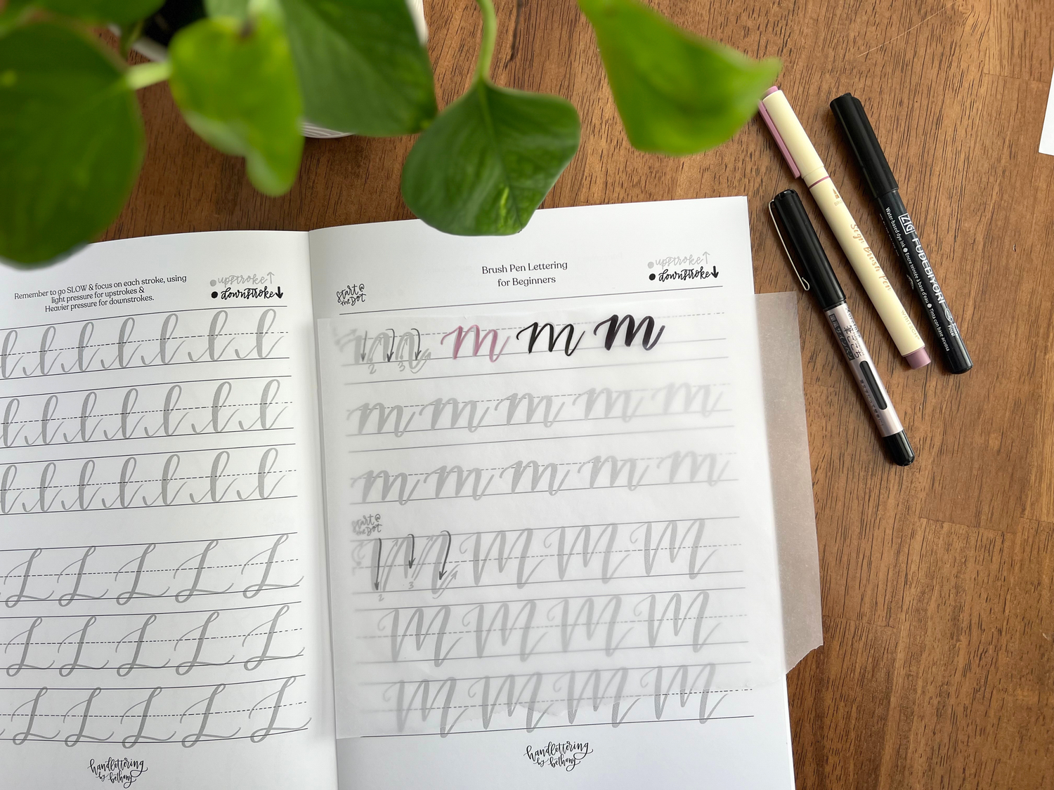 WRITECH Sign Brush Pen collab x Hand Lettering by Bethany — Hand ...