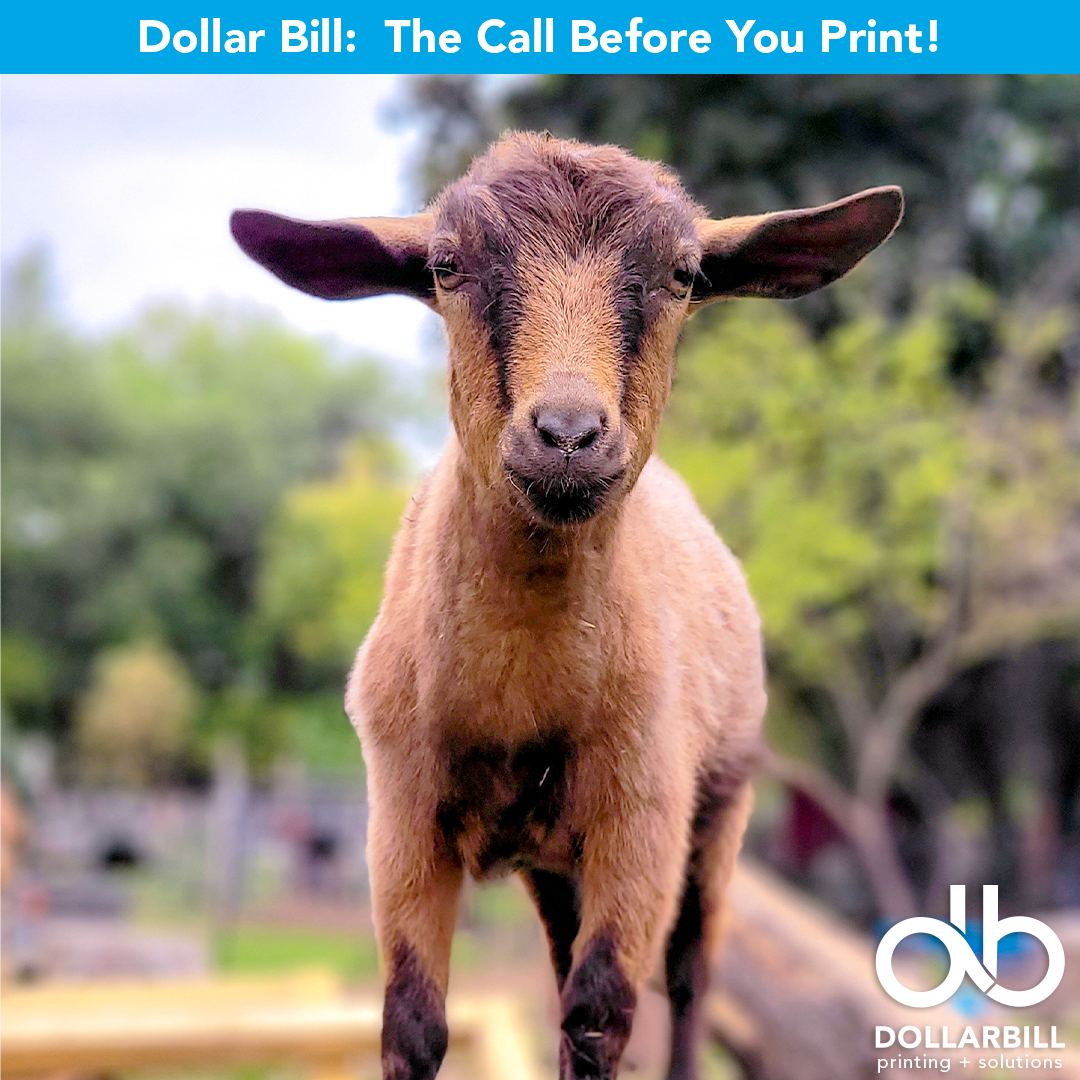 DB.2026.07.The GOAT of Printing.Intro.08.png