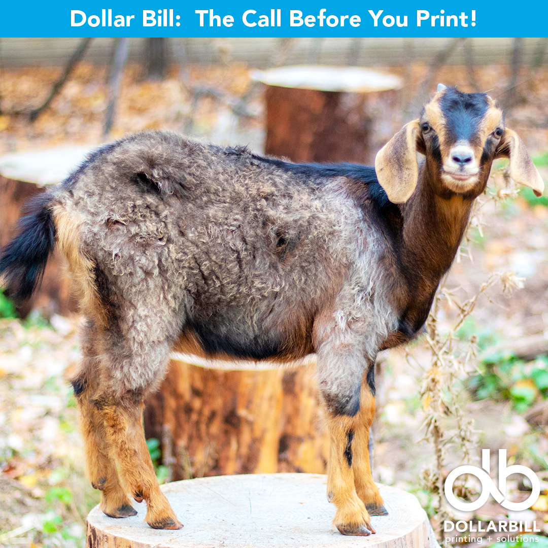 DB.2026.07.The GOAT of Printing.Intro.07.png