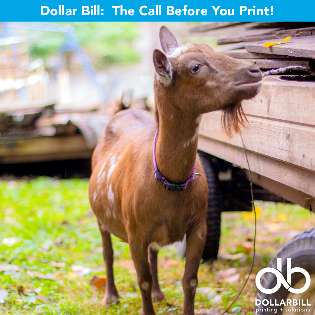 DB.2026.07.The GOAT of Printing.Intro.06.png