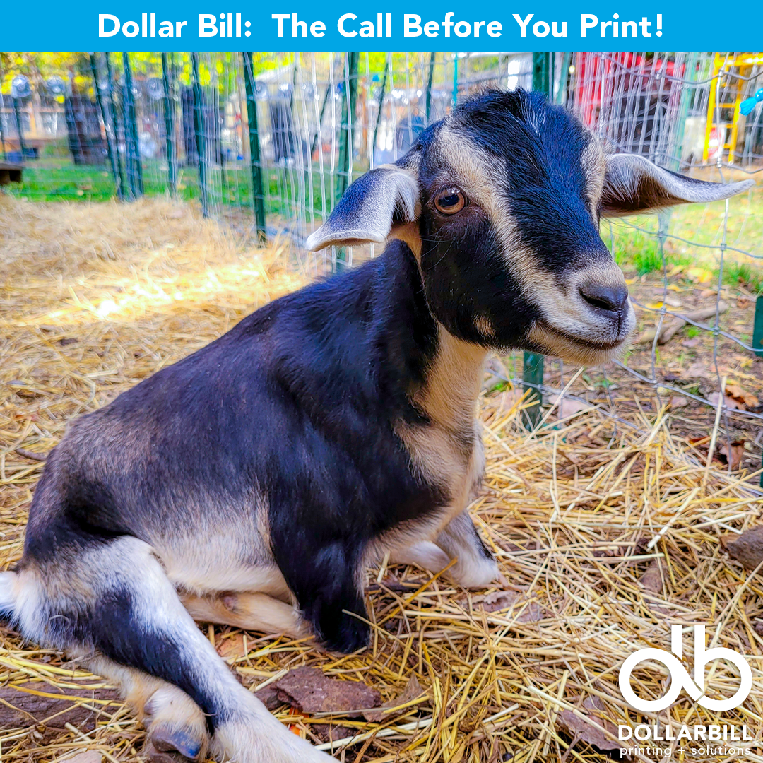 DB.2026.07.The GOAT of Printing.Intro.05.png