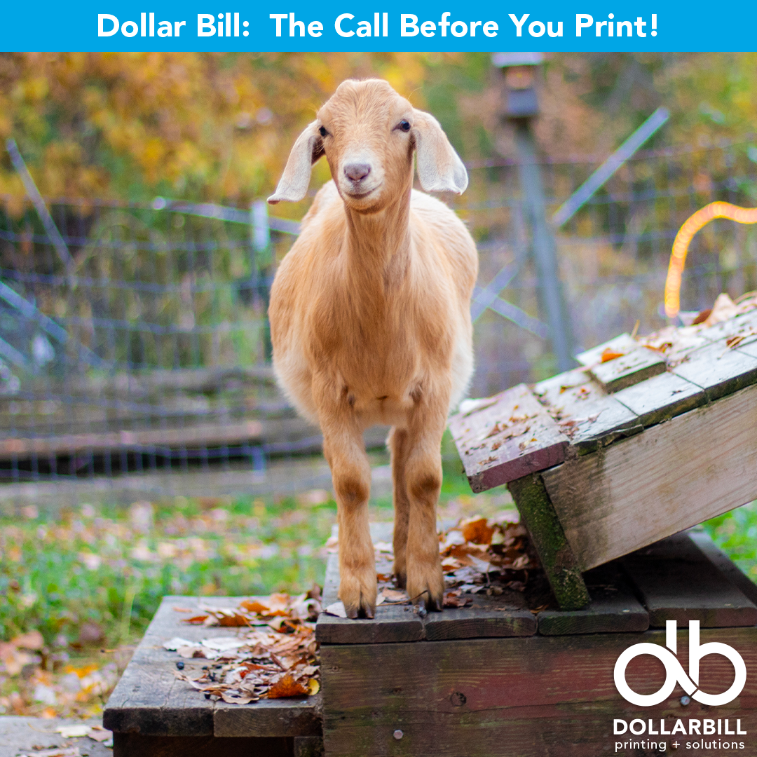 DB.2026.07.The GOAT of Printing.Intro.04.png