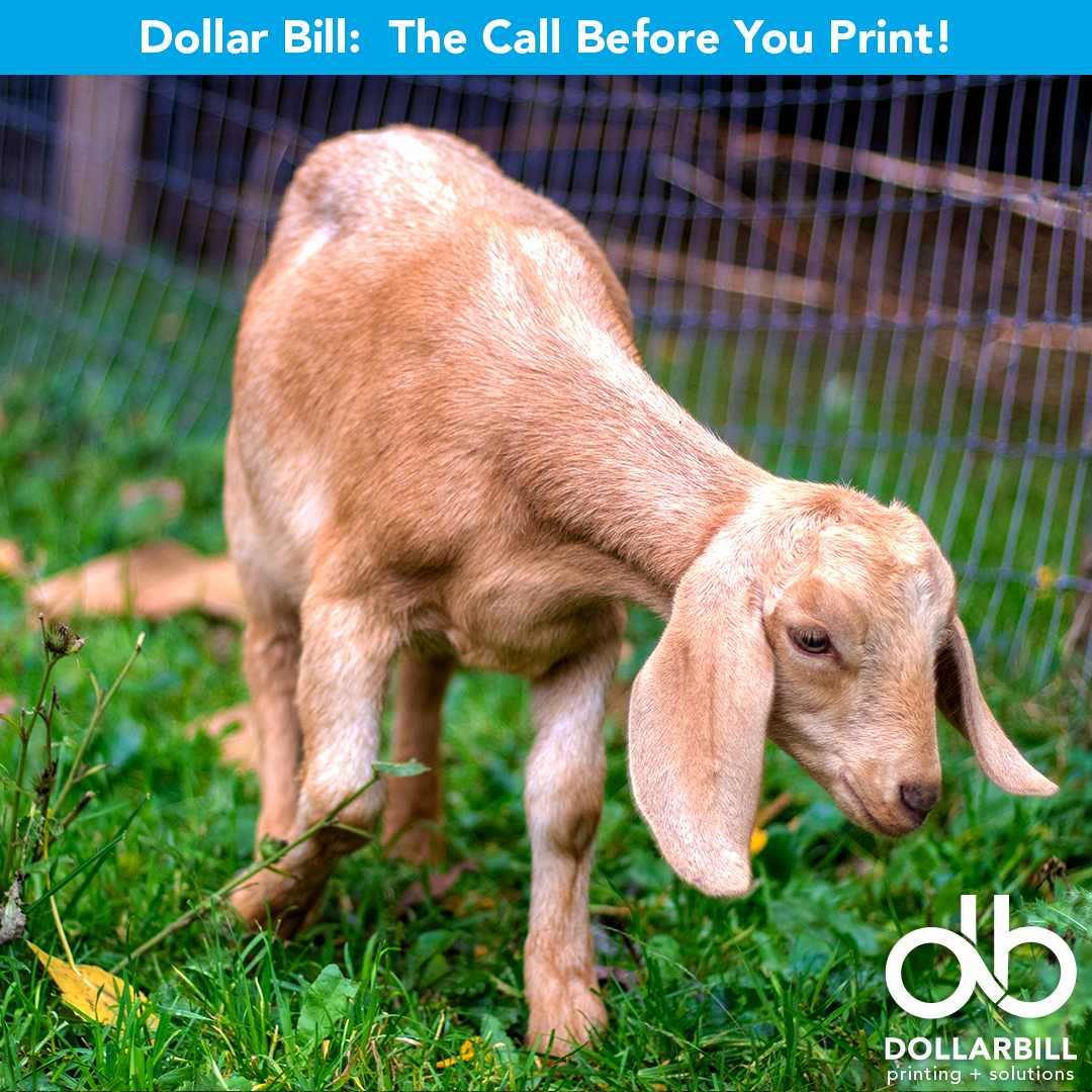 DB.2026.07.The GOAT of Printing.Intro.02.png