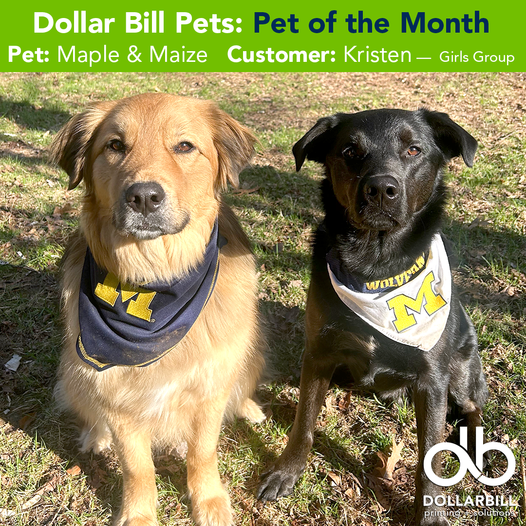 Meet Maple &amp; Maize: September Pets of the Month