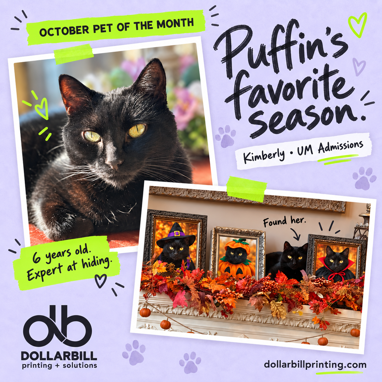 Meet Puffin: October Pet of the Month