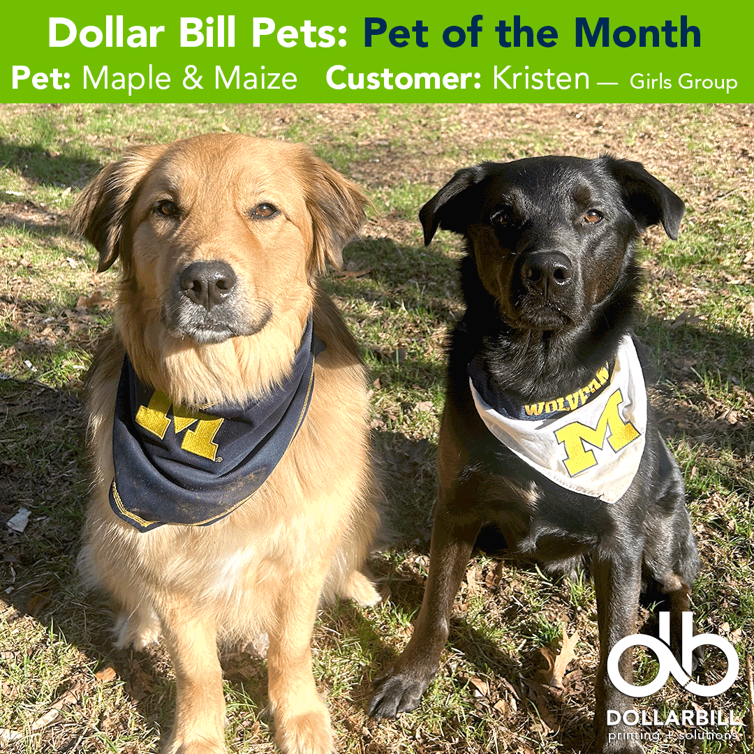 Maple and Maize, September Pets of the Month, sitting together outdoors