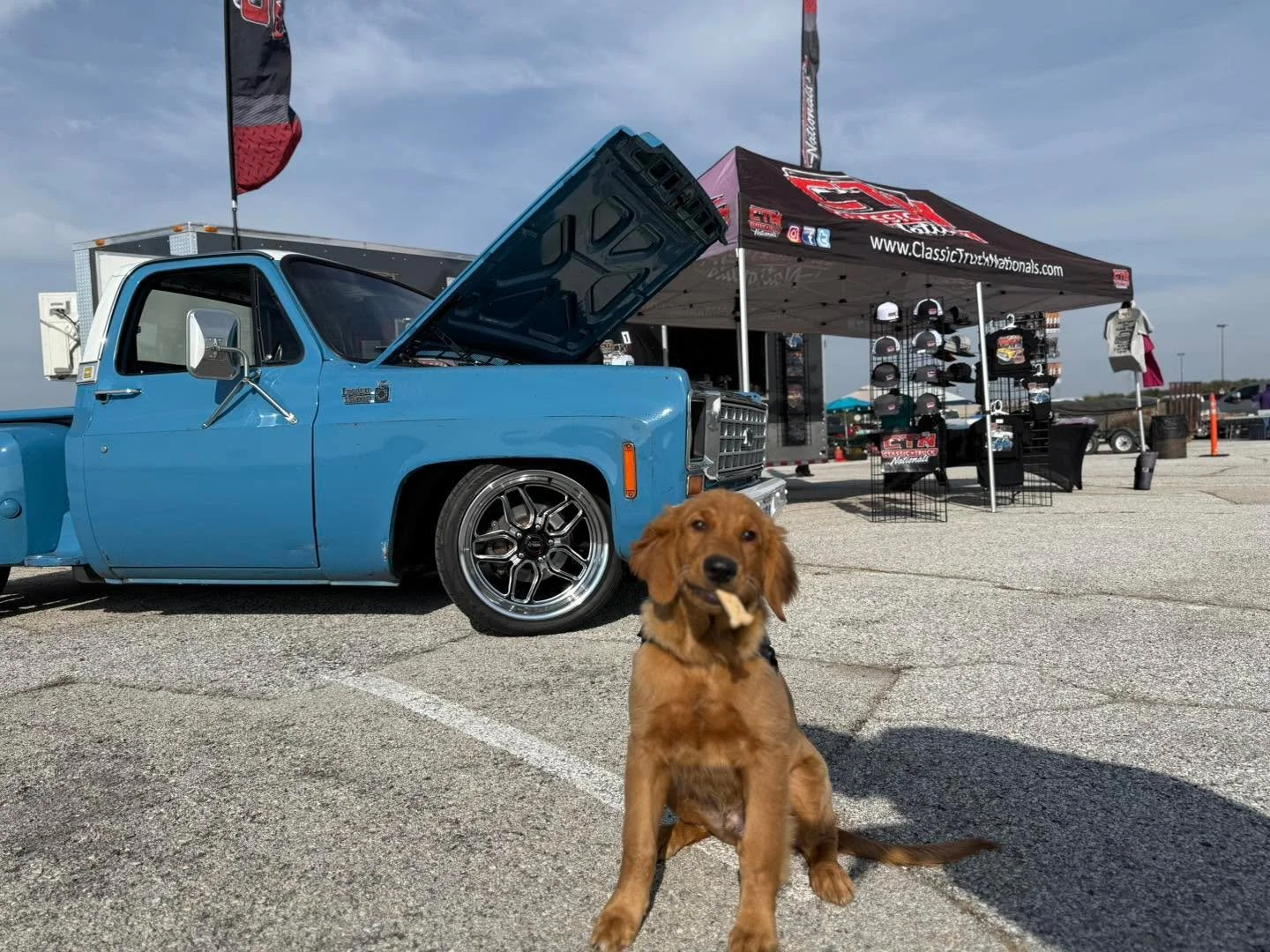 Buddy is ready for his first day of work! Stop by the Classic Truck Nationals booth at the  SouthWest Swap Meet this Friday and Saturday, Dec. 5th &amp; 6th at Lone Star Park in Grand Prairie TX!