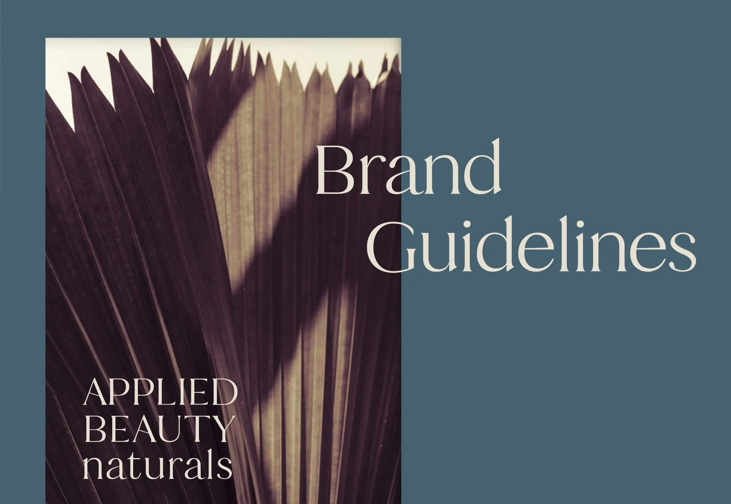Brand Guides