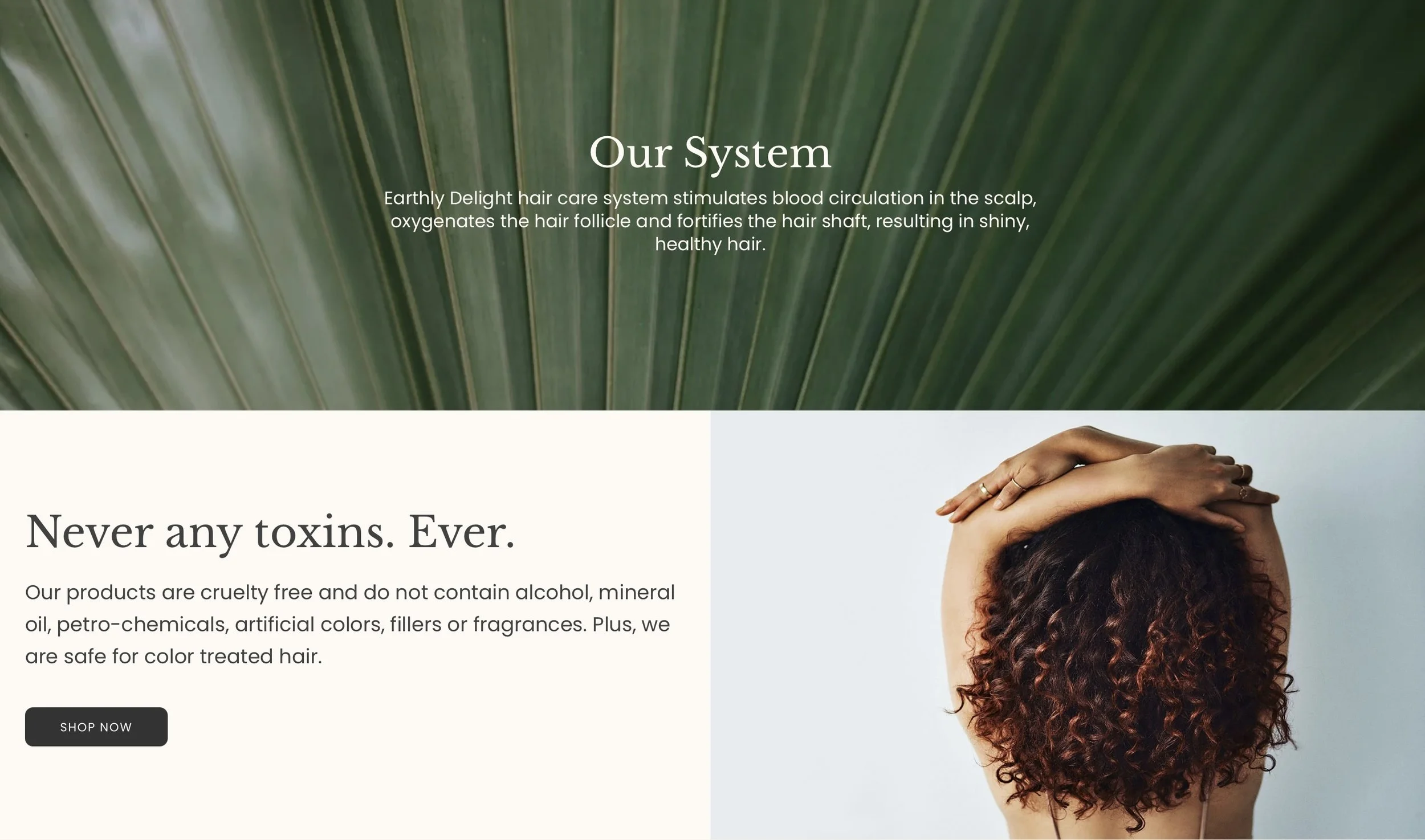 earthly delight website 2.jpg