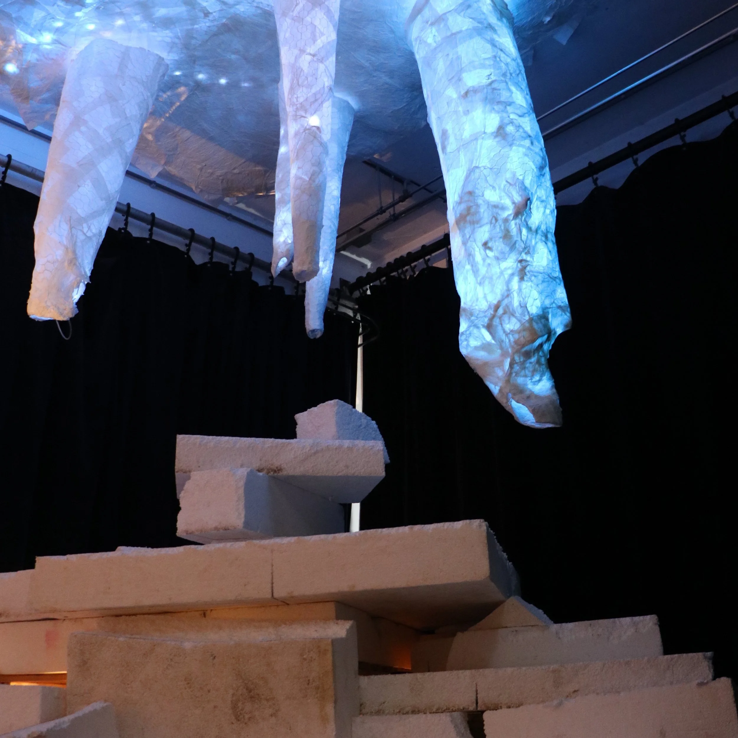 Wonderlijk Winterbos