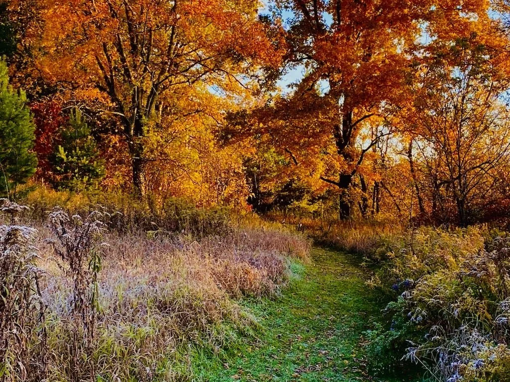 Fall-at-Fells-Meadows-1024px.jpg