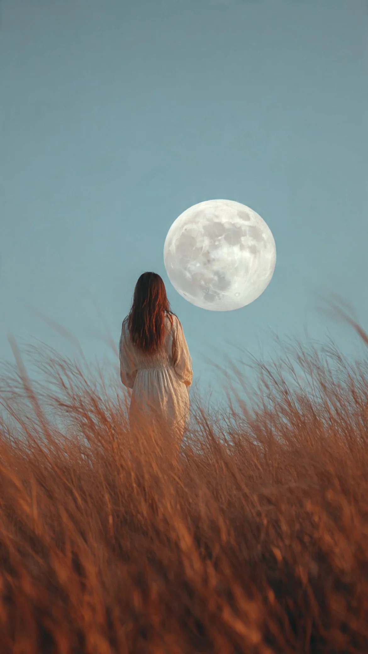 ONLINE Virgo Full Moon Emotional Clearing Ceremony