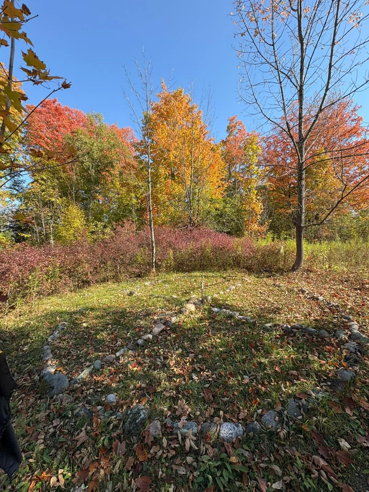 A woodland scene with a small stone circle on the ground in the foreground, surrounded by fallen leaves. There are trees with colorful autumn foliage and a clear blue sky in the background.
