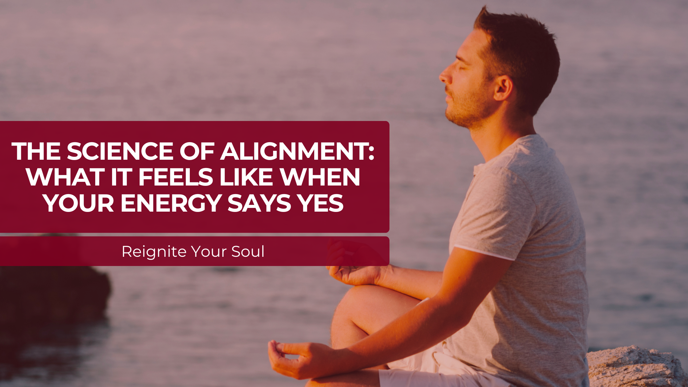 The Science of Alignment: What It Feels Like When Your Energy Says Yes ...