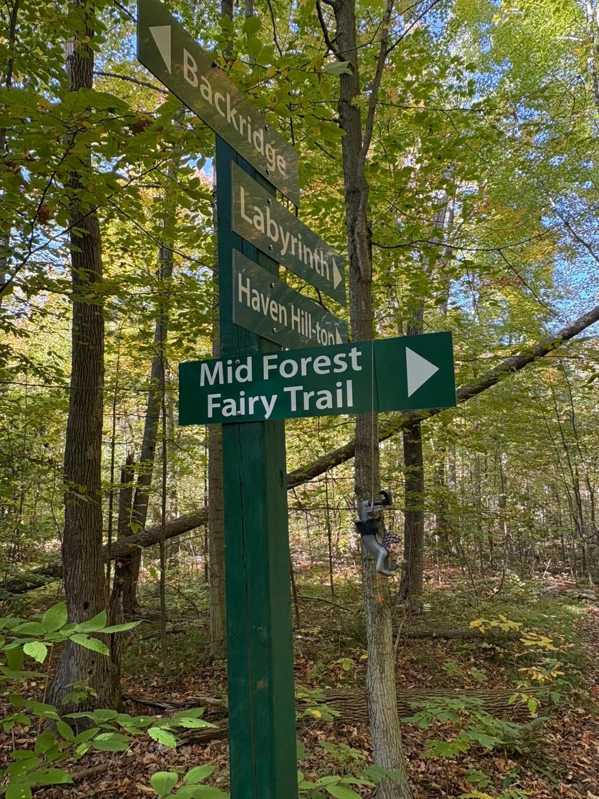 Directional trail signs in a forested area pointing to various trails, including Mid Forest Fairy Trail, Backridge, Labyrinth, and Haven Hillton, with trees and leaves surrounding them.
