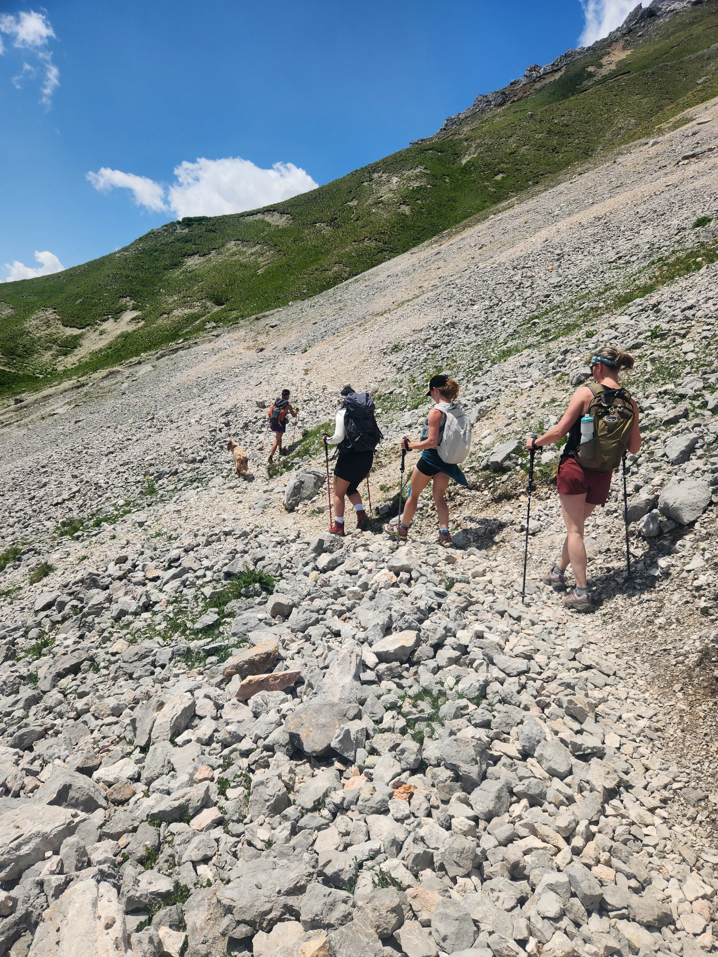 Four hikers and a dog trekking on a rocky mountain trail under a bright blue sky with scattered clouds.