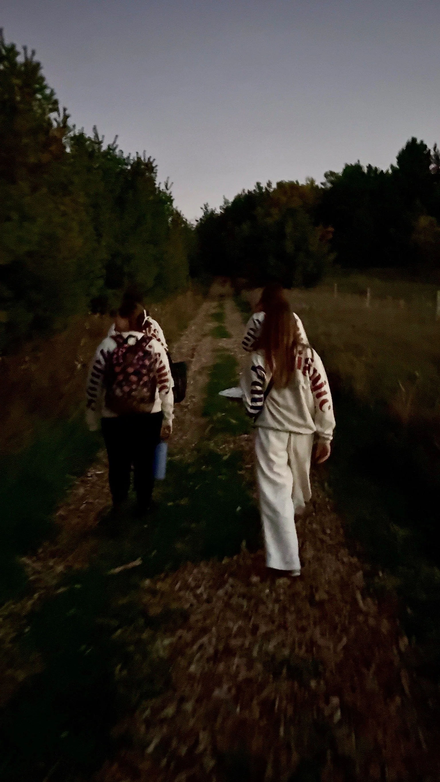Two girls walking on a dirt path lined with trees in a forest or park area during dusk or dawn.