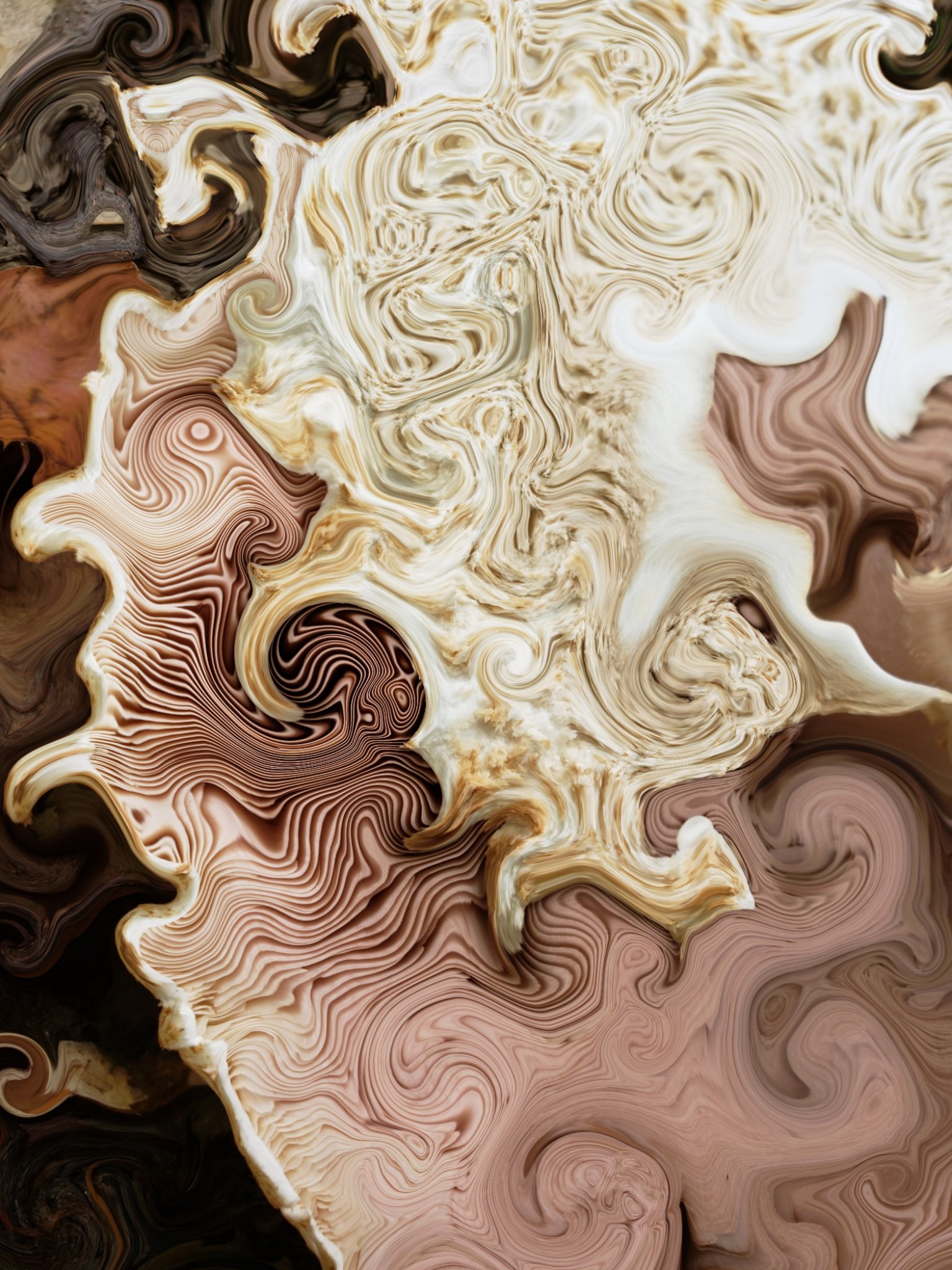 image3A12933_mirror.jpg