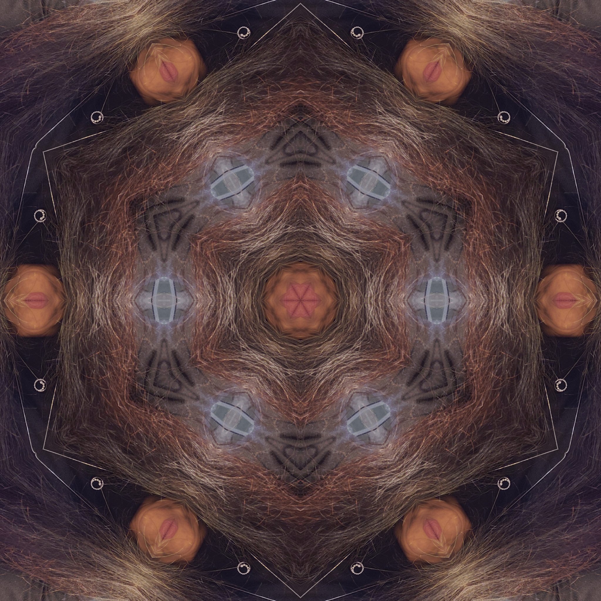 image3A13240_mirror.jpg