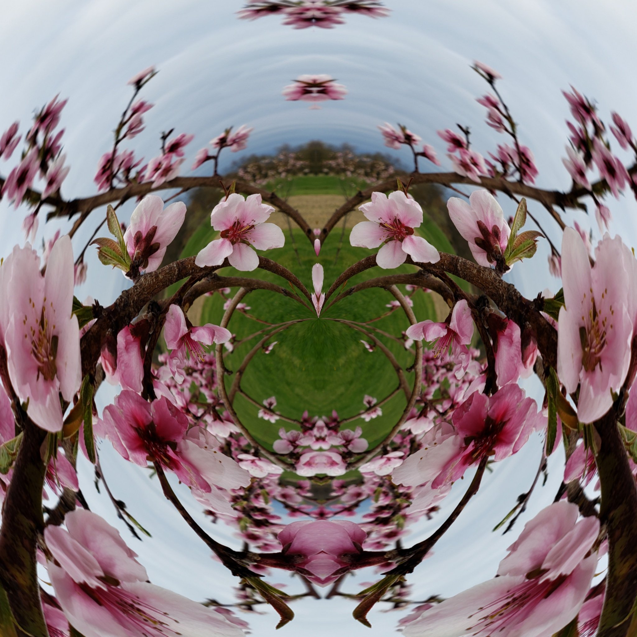 image3A5767_mirror3.jpg