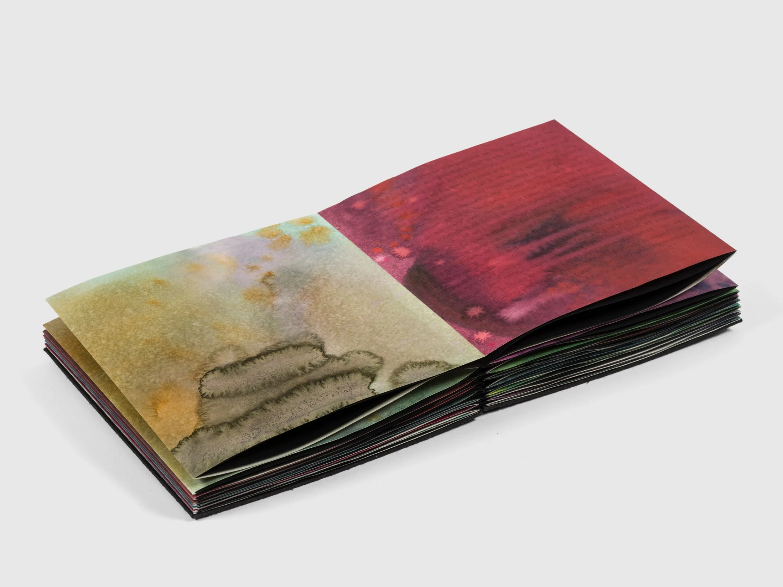 accordion press dossier_compressed_finalpress_14.jpeg