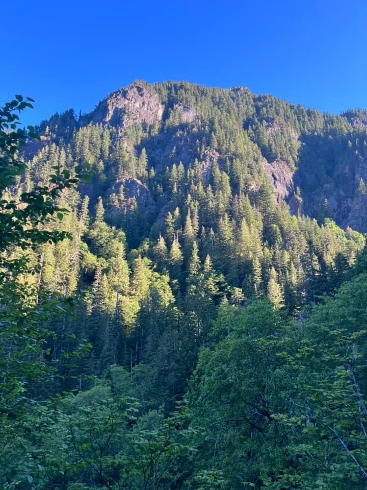 image6.jpeg