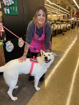 When Bell strolls into Starbucks, the staff's expressions brighten with joy, halting their activities to bask in her presence. Bell's arrival transforms the mundane scene into a moment of remarkable charm, as she soaks up the admiration of her belove