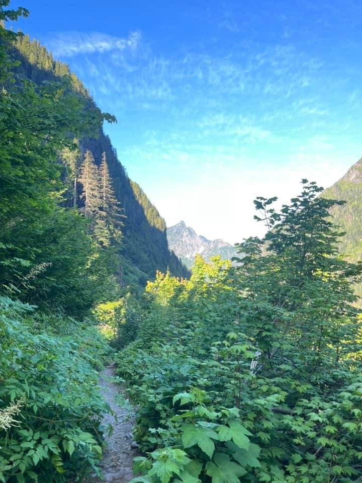 image8.jpeg