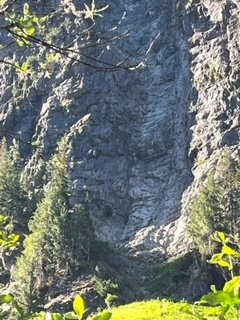 image13.jpeg