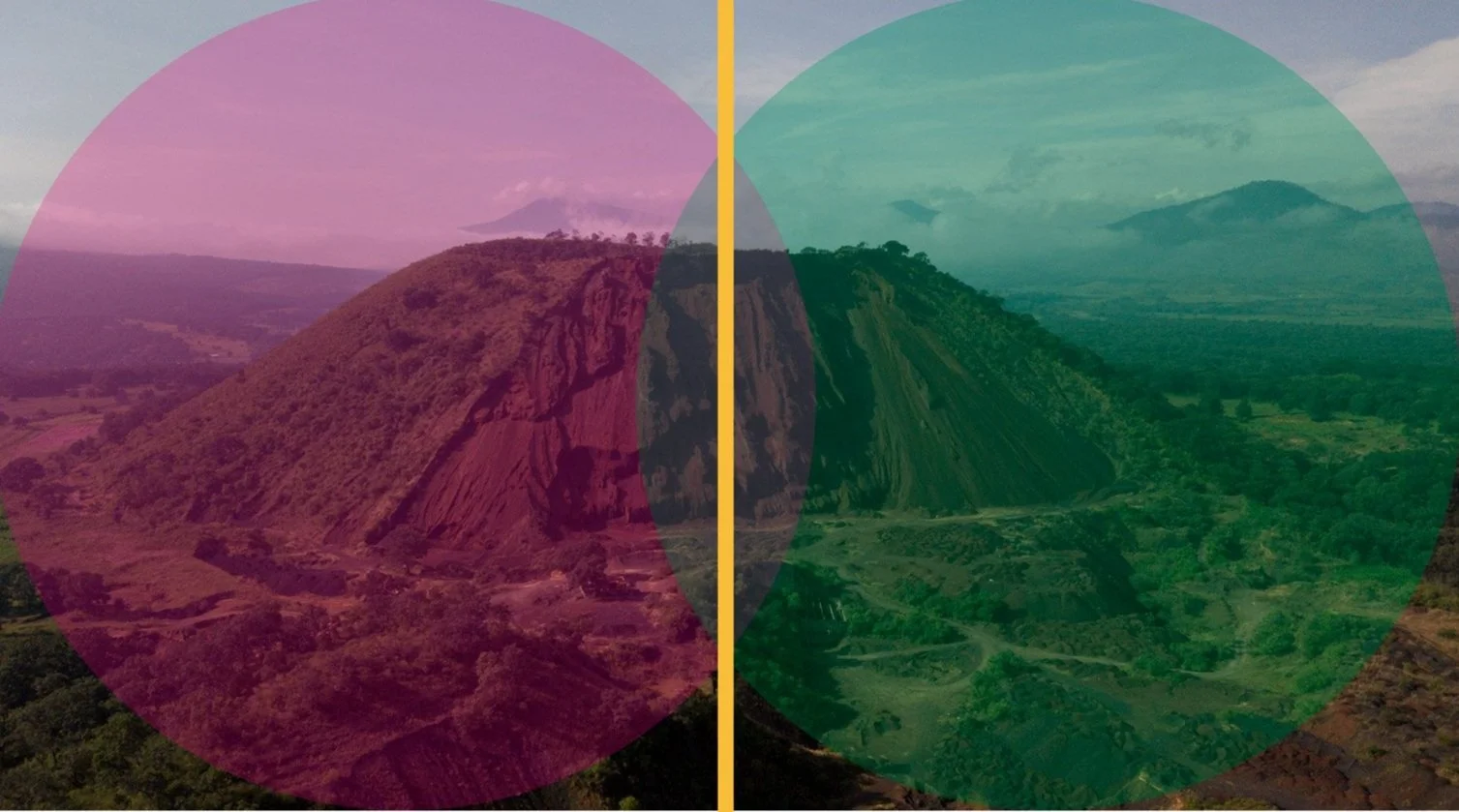 La naturaleza nunca ha producido nada