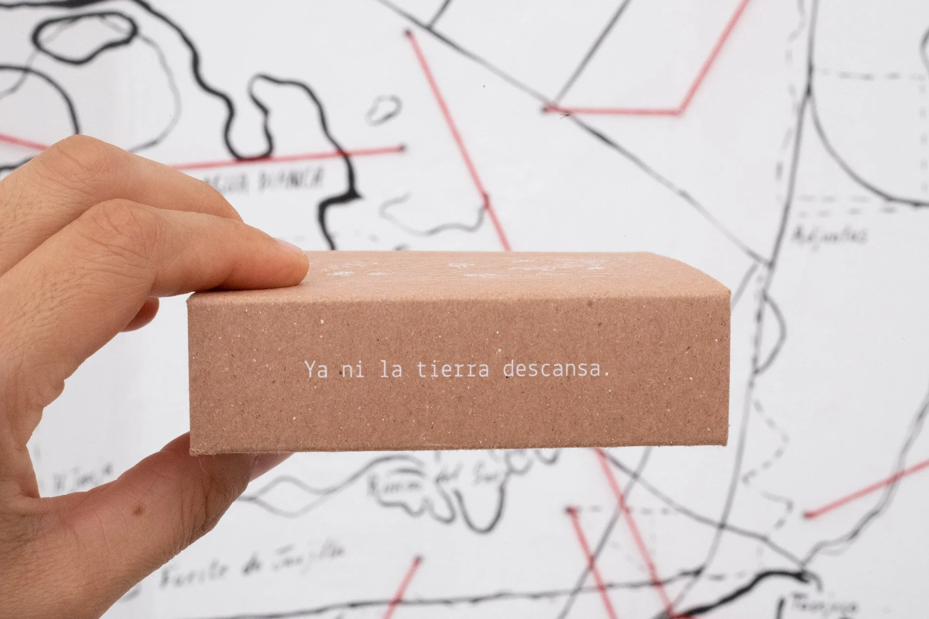 Ya _ni _la _tierra_ descansa_Instalacion_Arte_Contemporaneo_Luisa_Fernanda_Gutierrez_6.jpg