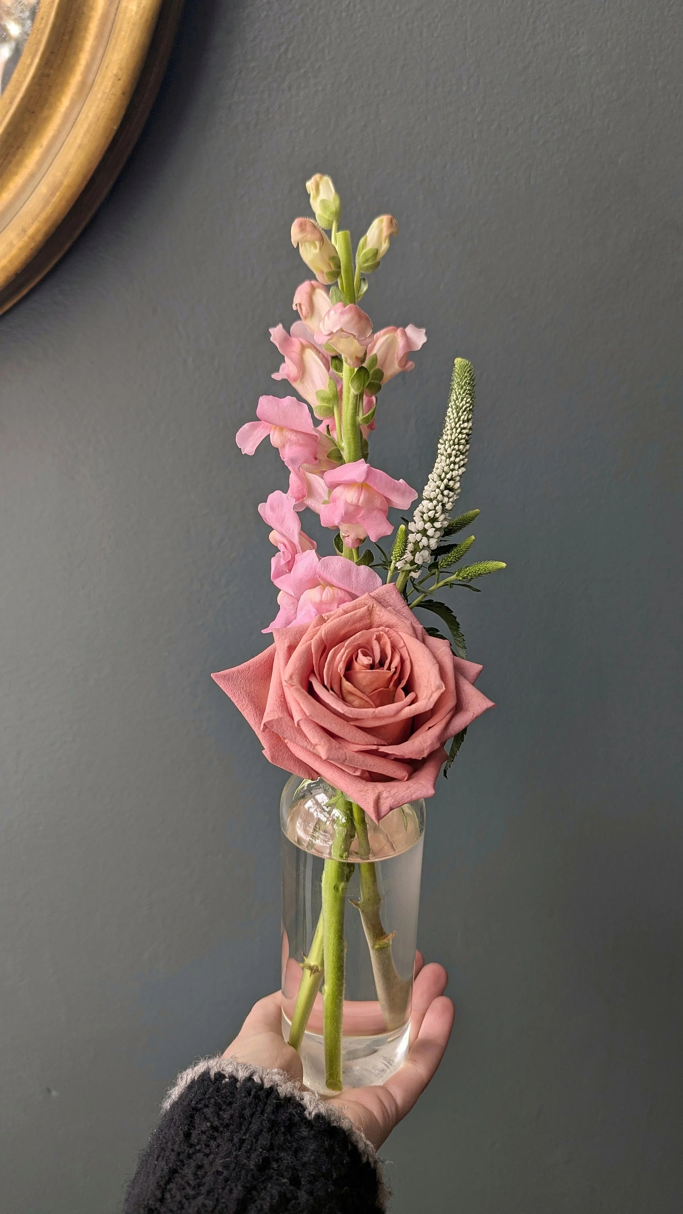 The Mini- Benefiting Corazón Deshilado Mutual Aid Group