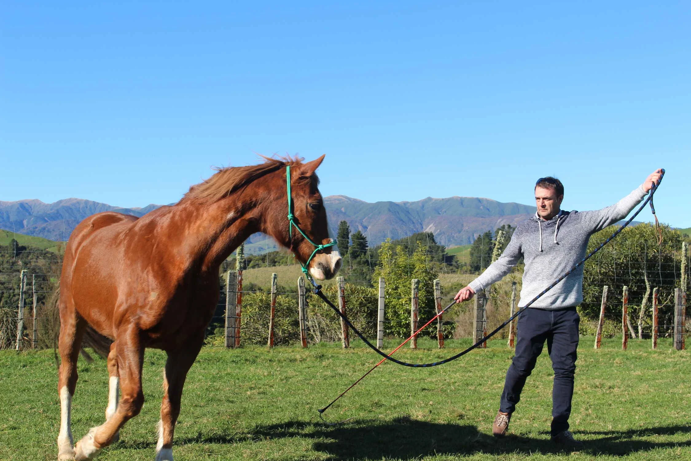 Man working with horse on a team building retreat