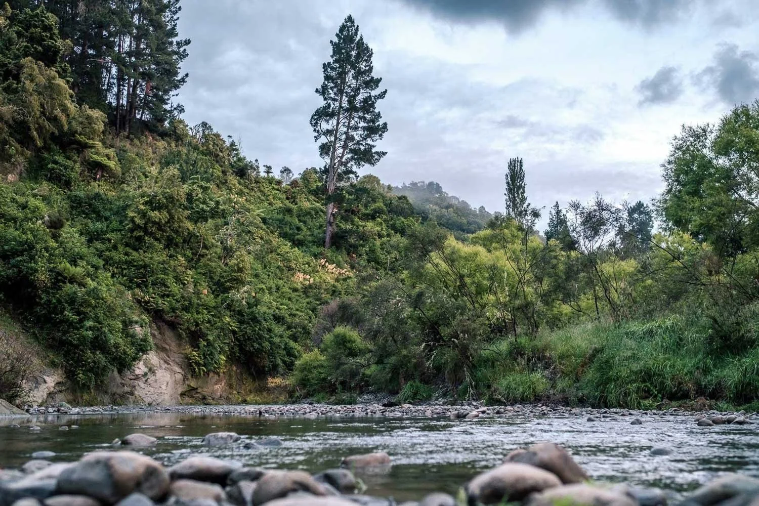 river at  makoura lodge that is suitable for swimming