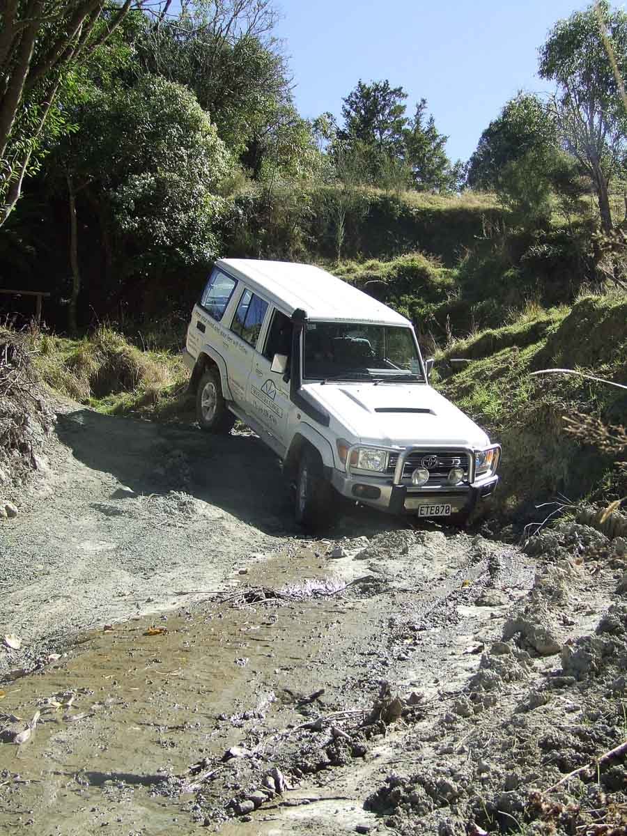 Stags at at a stag party doing four wheel driving at Makoura Lodge