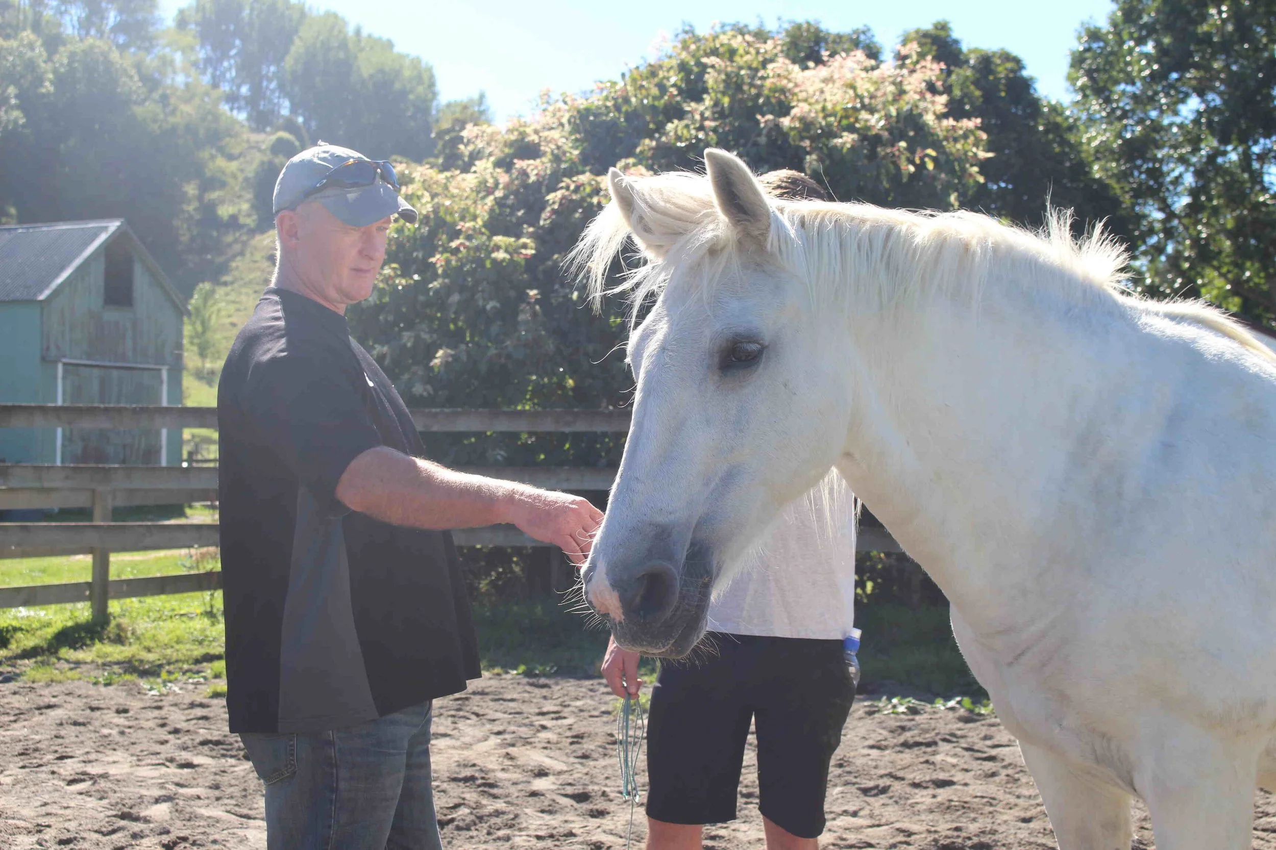 Makoura-lodge-team-building-horses.jpg