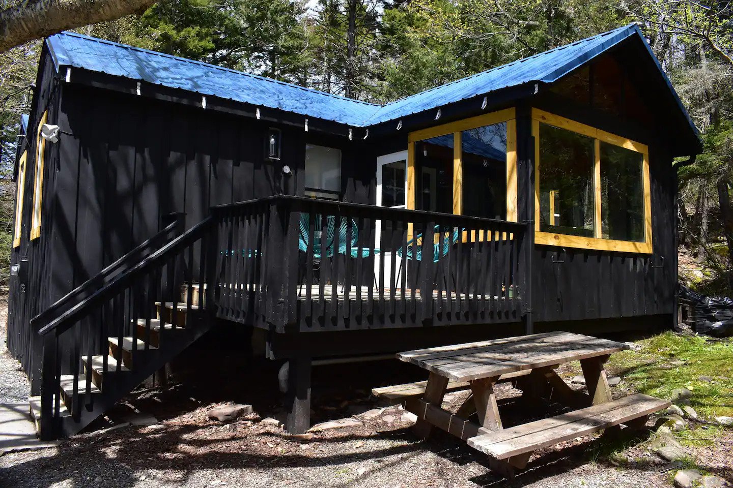 Summer Pics_Page_2.jpg