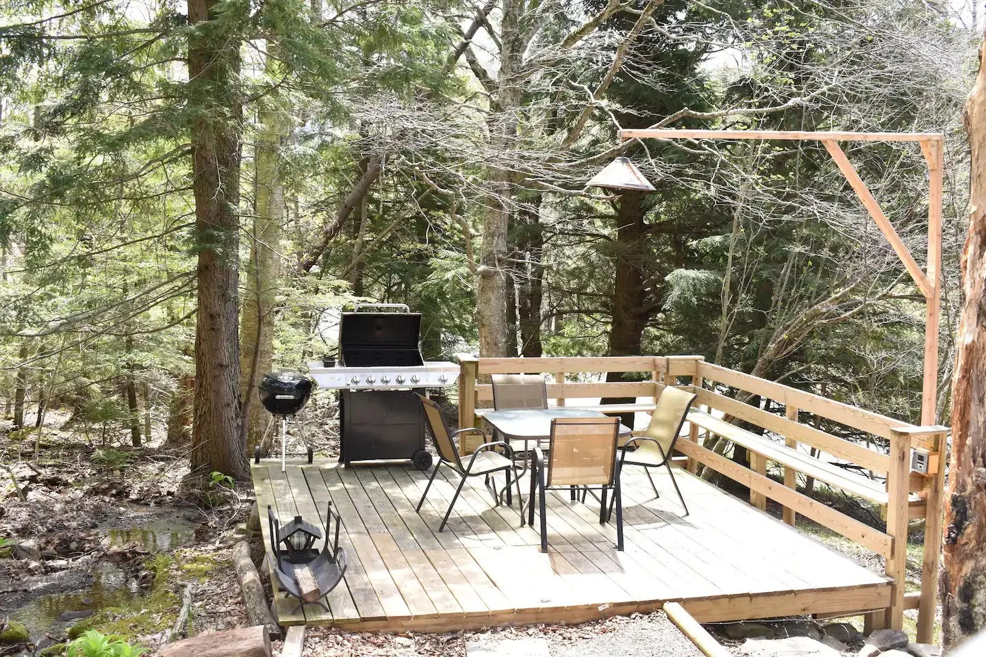 Summer Pics_Page_5.jpg